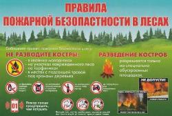 Правила пожарной безопасности на природе Правила пожарной безопасности на природе
