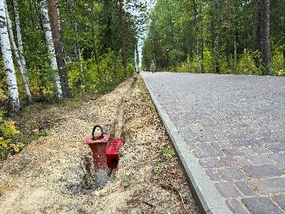Преображение парка им. Д.И. Менделеева продолжается
