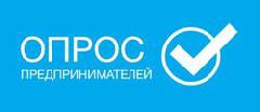 Анкетирование представителей бизнес-сообщества 