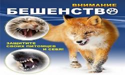 Бешенство животных Бешенство животных