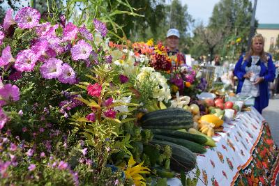 Ярмарка садоводов, страйкбол и кибер-спортивный турнир - стартовали мероприятия ко Дню города