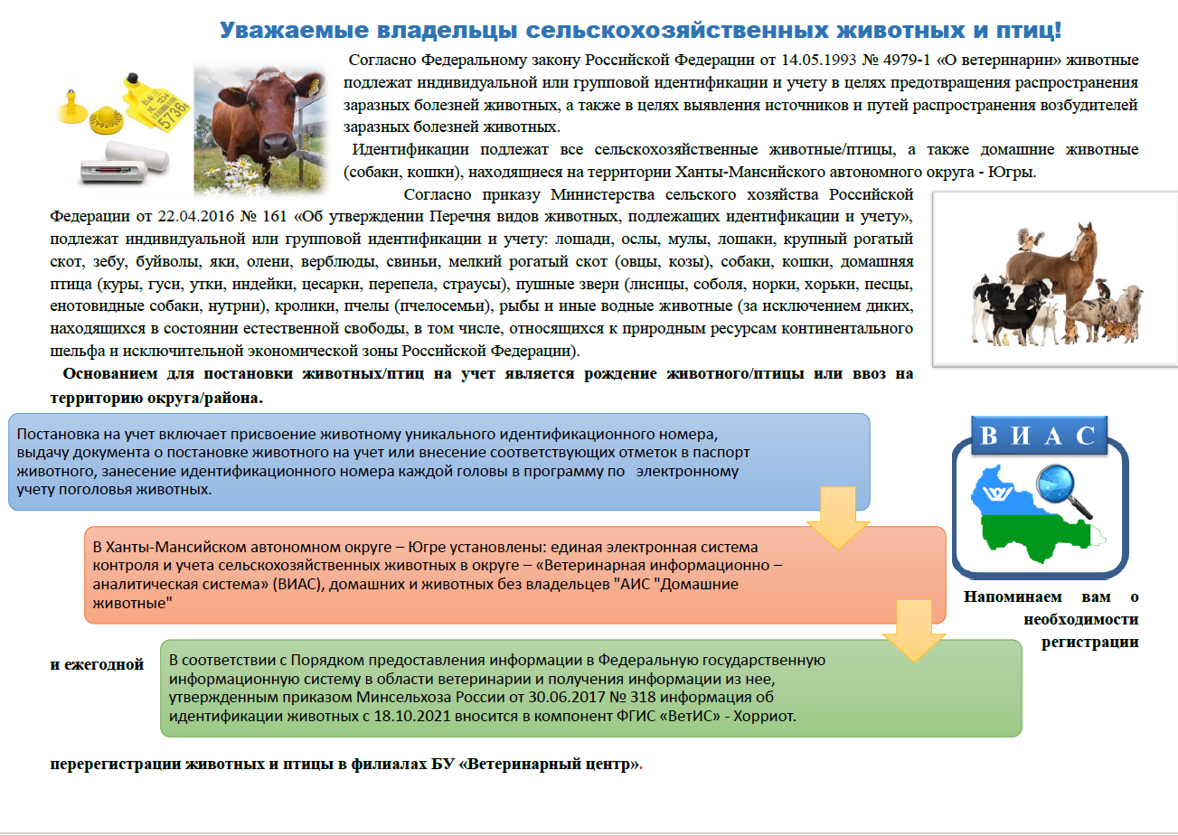 Памятка по идентификации животных