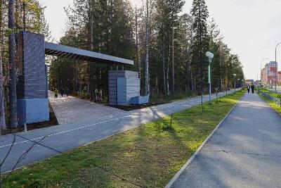 Парк на улице Менделеева ждет новый этап благоустройства