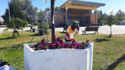 Летний отдых с пользой для детей и города