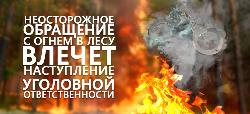 Неосторожное обращение с огнем в лесу влечет наступление уголовной ответственности Неосторожное обращение с огнем в лесу влечет наступление уголовной ответственности