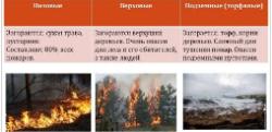 Действия при обнаружении пожара в лесу. Действия при обнаружении пожара в лесу.