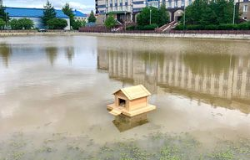 Обитатели городского пруда обрели дом