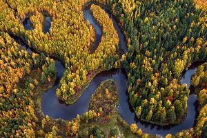 Югра - в числе лидеров рейтинга по качеству жизни