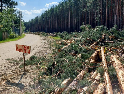 На "Зелёной зоне" формируют минерализованные полосы и противопожарные разрывы