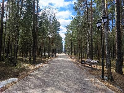 Успейте внести предложение на конкурс проектов создания комфортной городской среды до 24 ноября
