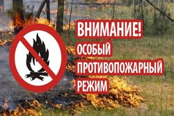 С 29 июля в Югорске введён особый противопожарный режим. 