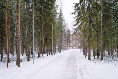 Югорчане выбирают какой будет велодорожка в парке по Менделеева
