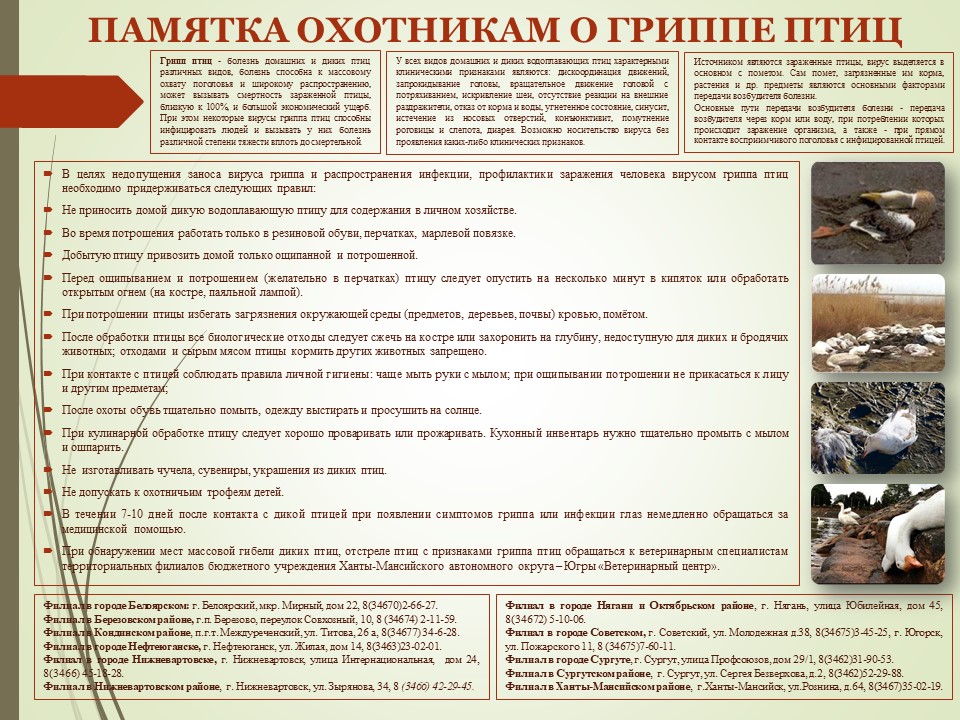 Памятка-отхотникам-о-гриппе-птиц.jpg