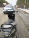 Первые ласточки