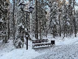 Близится к завершению очередной этап благоустройства парка им. Д.И. Менделеева