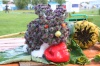 Завтра в центральном парке Югорская ярмарка