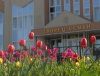 Югорск - в числе самых благоустроенных городов Югры